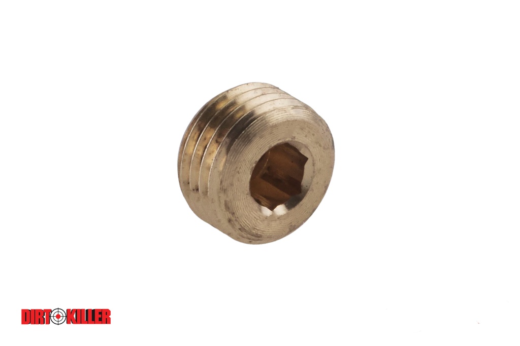 Sealing Plug M10 x 1 for Injector Hole Kranzle-image_6.jpg