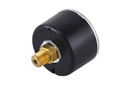 Gauge Pressure  0-250 BAR 1/8 inch Male for Kranzle-image_2.jpg