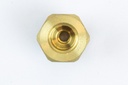  Kränzle Female 1/4" Adapter