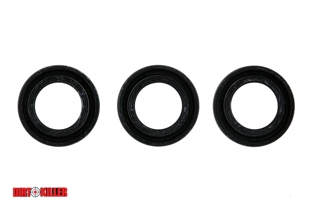  Kit, Oil Seals, RRV AR