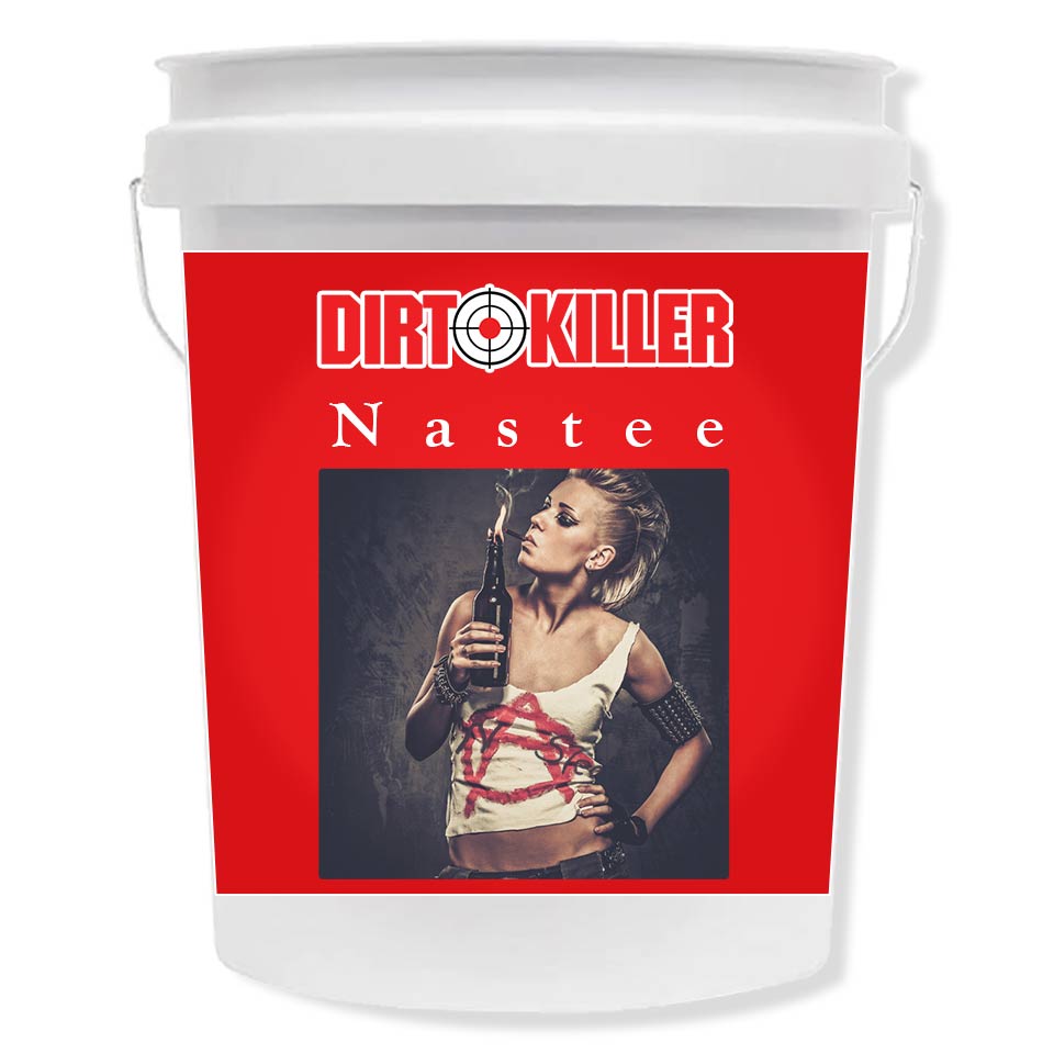 [9800302]  Nastee 5 Gallon - Remove oil stain from concrete - Industrial Degreaser