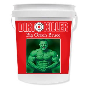 Big Green Bruce 5 Gallons - Pressure washer soap