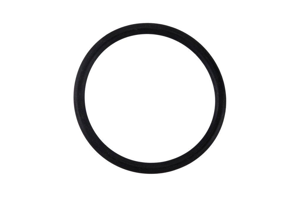  O-Ring for Kränzle Water Filter
