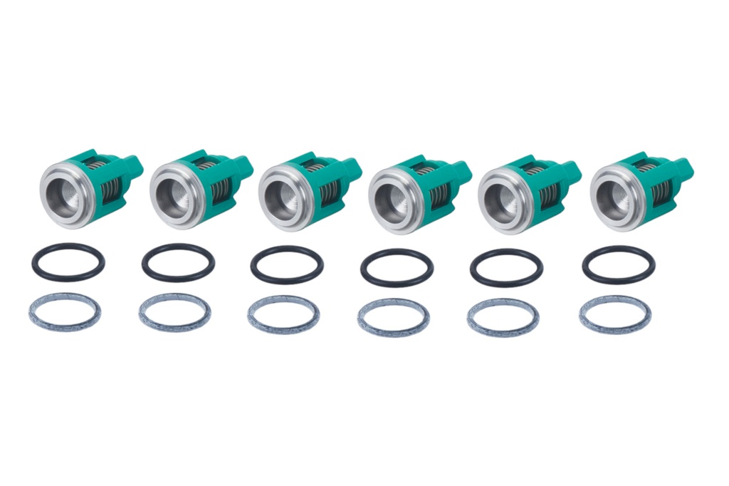 Kränzle AM and APG Pump Valve Rebuild Kit (Green)