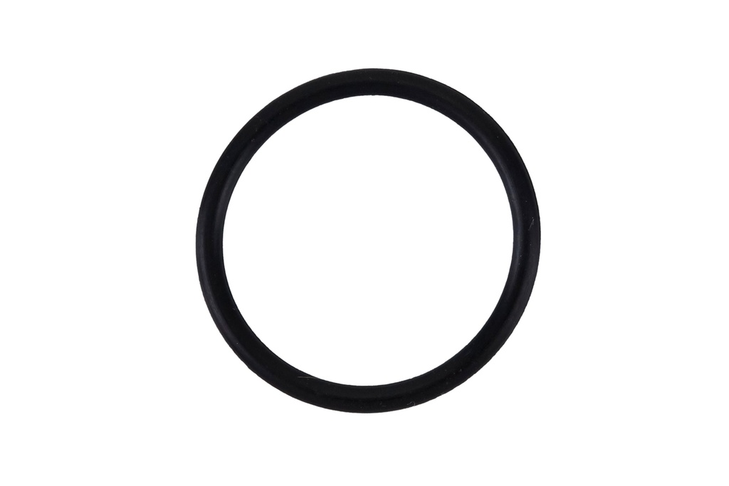  Kränzle O-Ring 21mm x 2mm