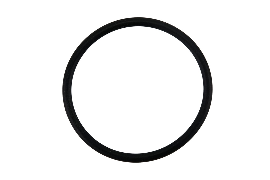  Kränzle O-Ring 21mm x 1.5mm