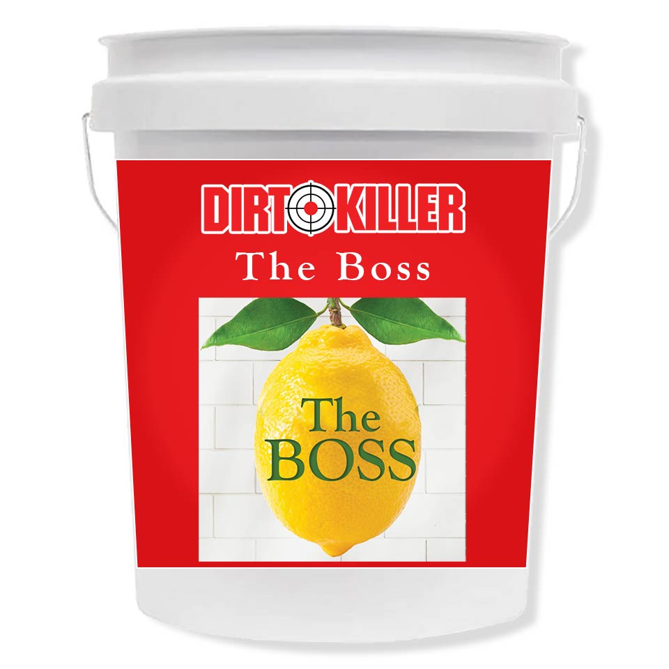 [9800319]  THE BOSS, 5 Gallons Pressure washer soap