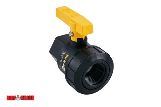 [5400035]  Banjo Single Union Valve 1" FNPT Full Port Poly UV100FP