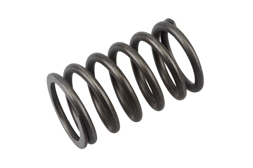 [9740506] SPRING,PLUNGER 20mm,AQ