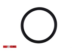 [9742025]  Kränzle O-Ring 21mm x 2mm